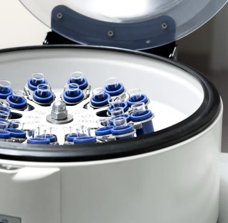 Depositphotos_167971078_XL