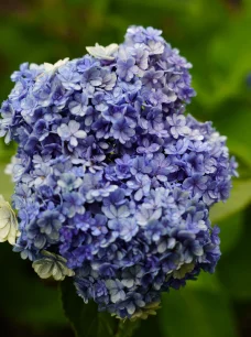 Depositphotos_392482544_XL