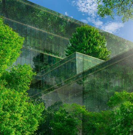 Depositphotos_477235102_XL