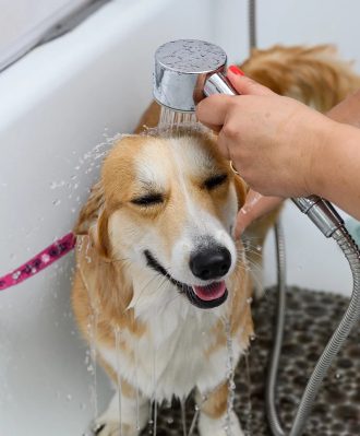 Depositphotos_672311890_XL-e1694030741828 (1)